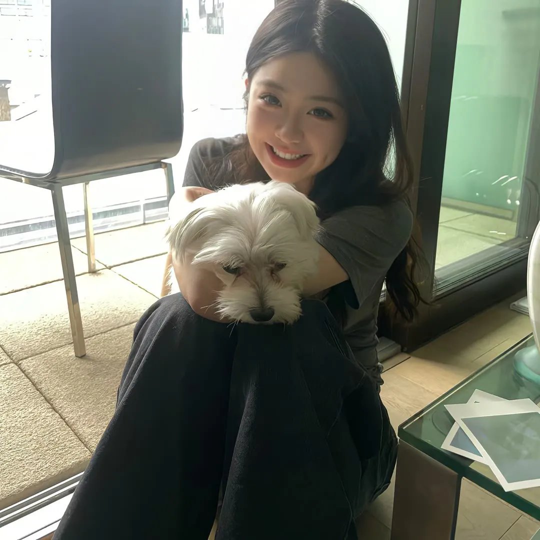 纵使相逢应不识